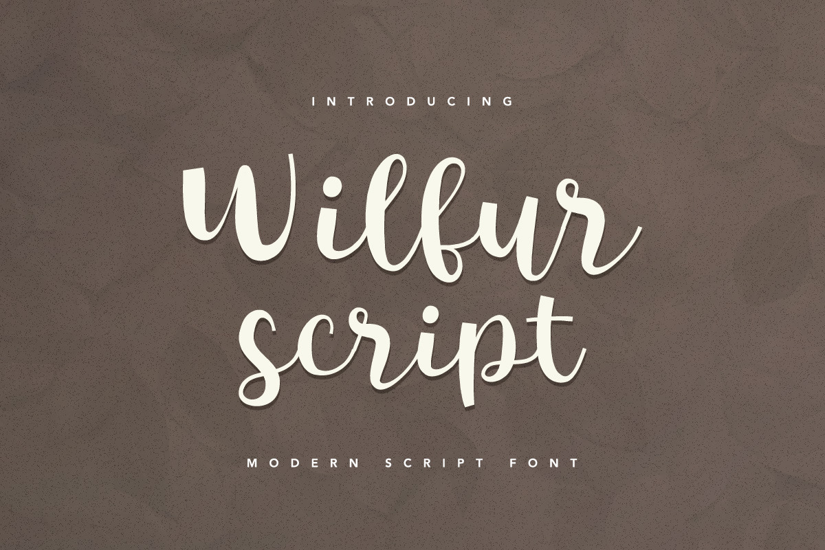 Font & Graphic Bundle - 95% off, a Script Font by vuuuds (Photo 23 of 33)
