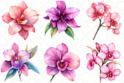 Watercolor Pink Orchid Clipart, an Illustration by Black Bird Studio (Thumbnail 4 of 5)