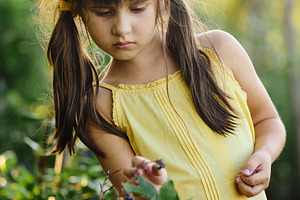 Cute little girl picking fresh ripe blueberries from a bush in the garden. Focu, a Person Photo by Rohan Photography