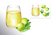 Amber Gooseberry. Watercolor set, a Food Illustration by Daria Ustiugova (Thumbnail 16 of 23)