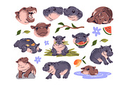 Cute hippos set + seamless patterns, an Animal Illustration by PaperTrident (Thumbnail 1 of 14)