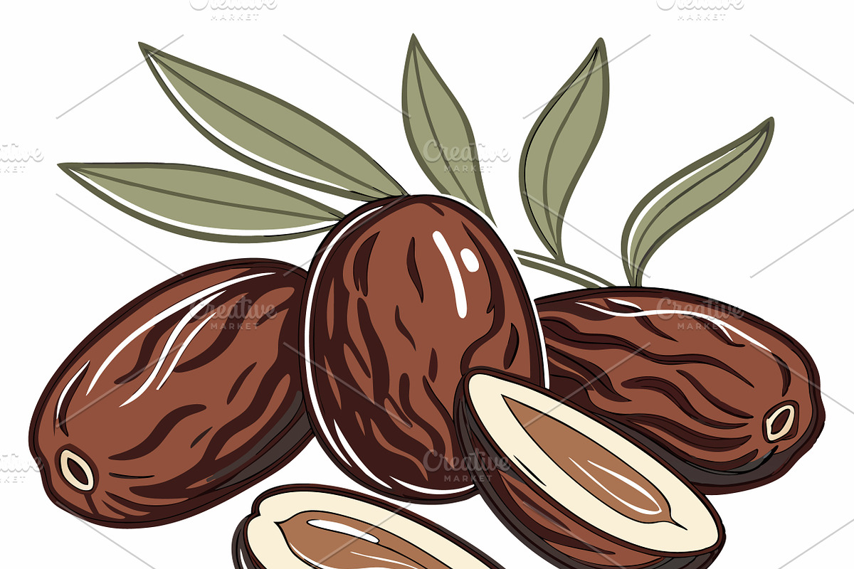 Ripe dates leaves and sliced fruit, a Food Illustration by SouravDesign (Photo 2 of 3)