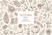 Autumn botanical sketches, a Decorative Illustration by Aquatinta (Thumbnail 1 of 8)