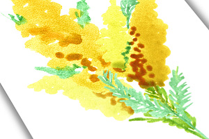 Watercolor Yellow Spring Flowers