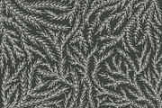 Hand-Illustrated Botanicals Vectors, an Illustration by Britt Fabello (Thumbnail 5 of 5)