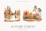 Autumn Forest, a Seasonal Illustration by PeDe Designs (Thumbnail 2 of 7)
