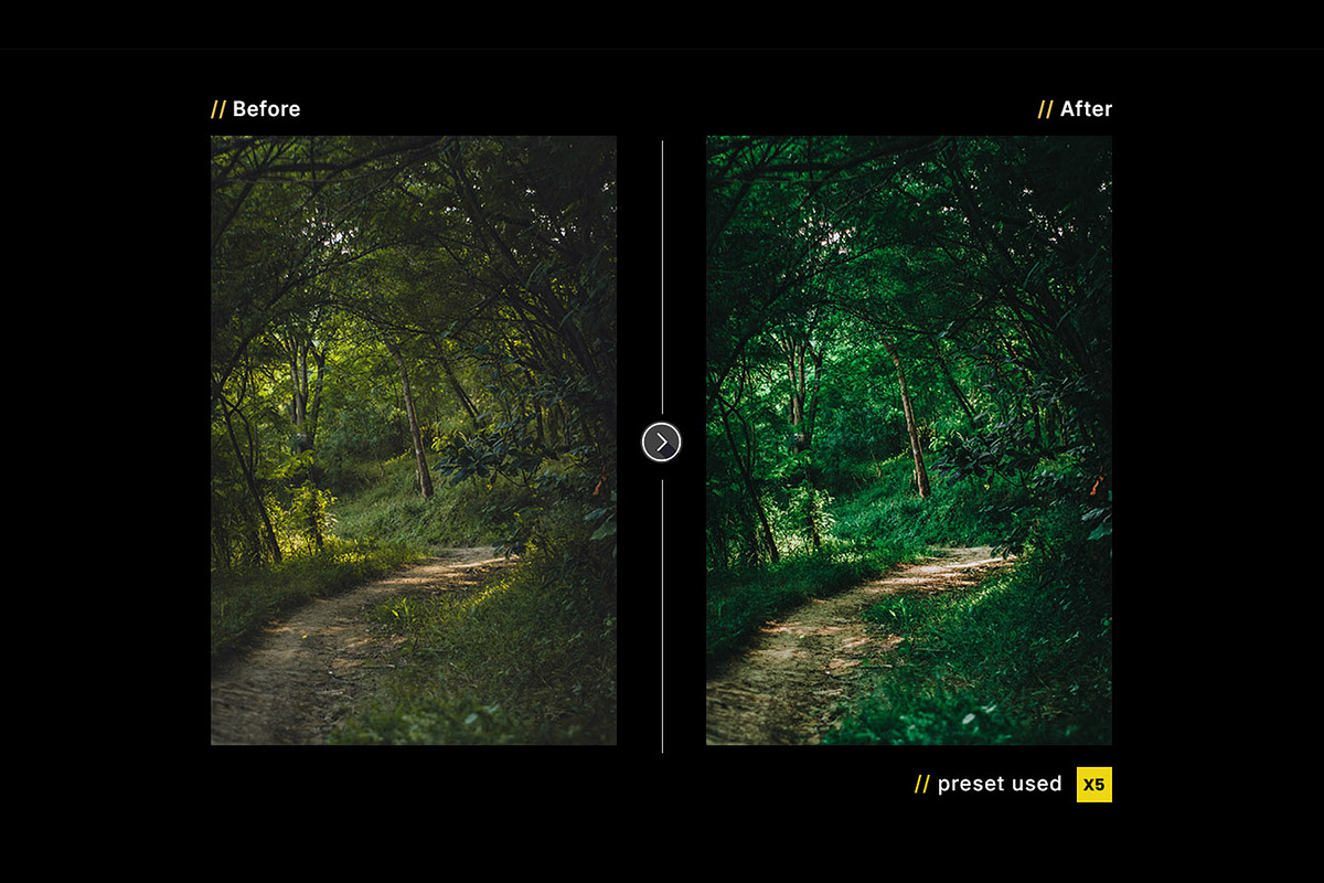 Deep Forest – Actions and Presets, a Preset Add-On by Hydrozi Presets (Photo 6 of 9)