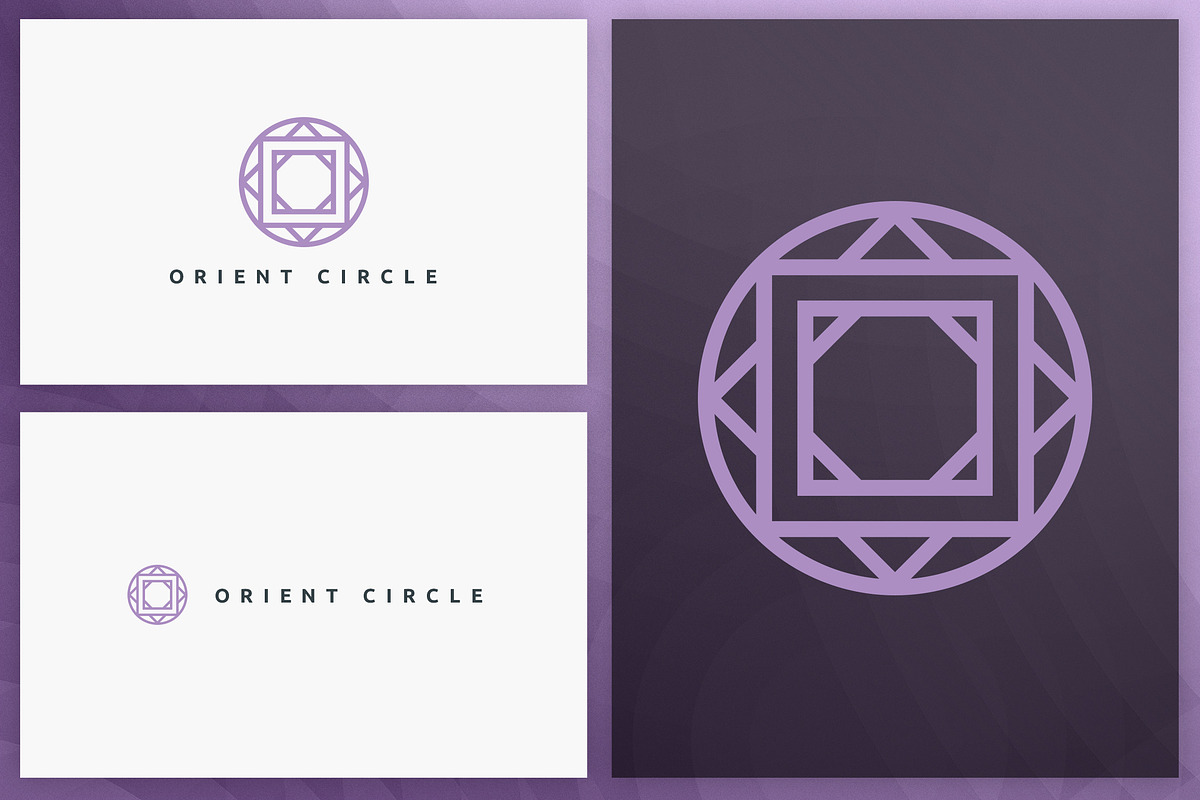 20 Circle geometric logos - outline, a Branding & Logo Template by VP Fonts (Photo 11 of 21)