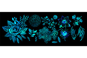 Set of neon flowers on a black, an Illustration by Nenahliadava Design