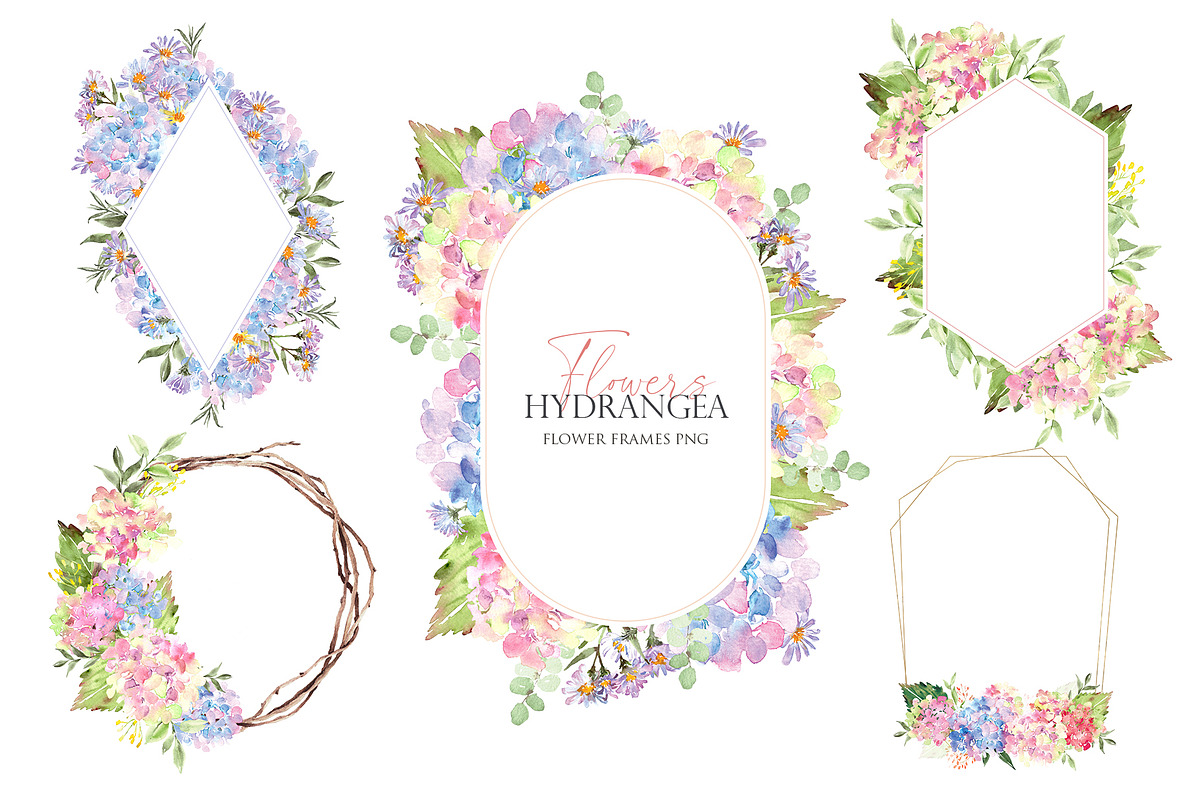 Watercolor flower - Hydrangea, an Illustration by Beigetime (Photo 5 of 9)