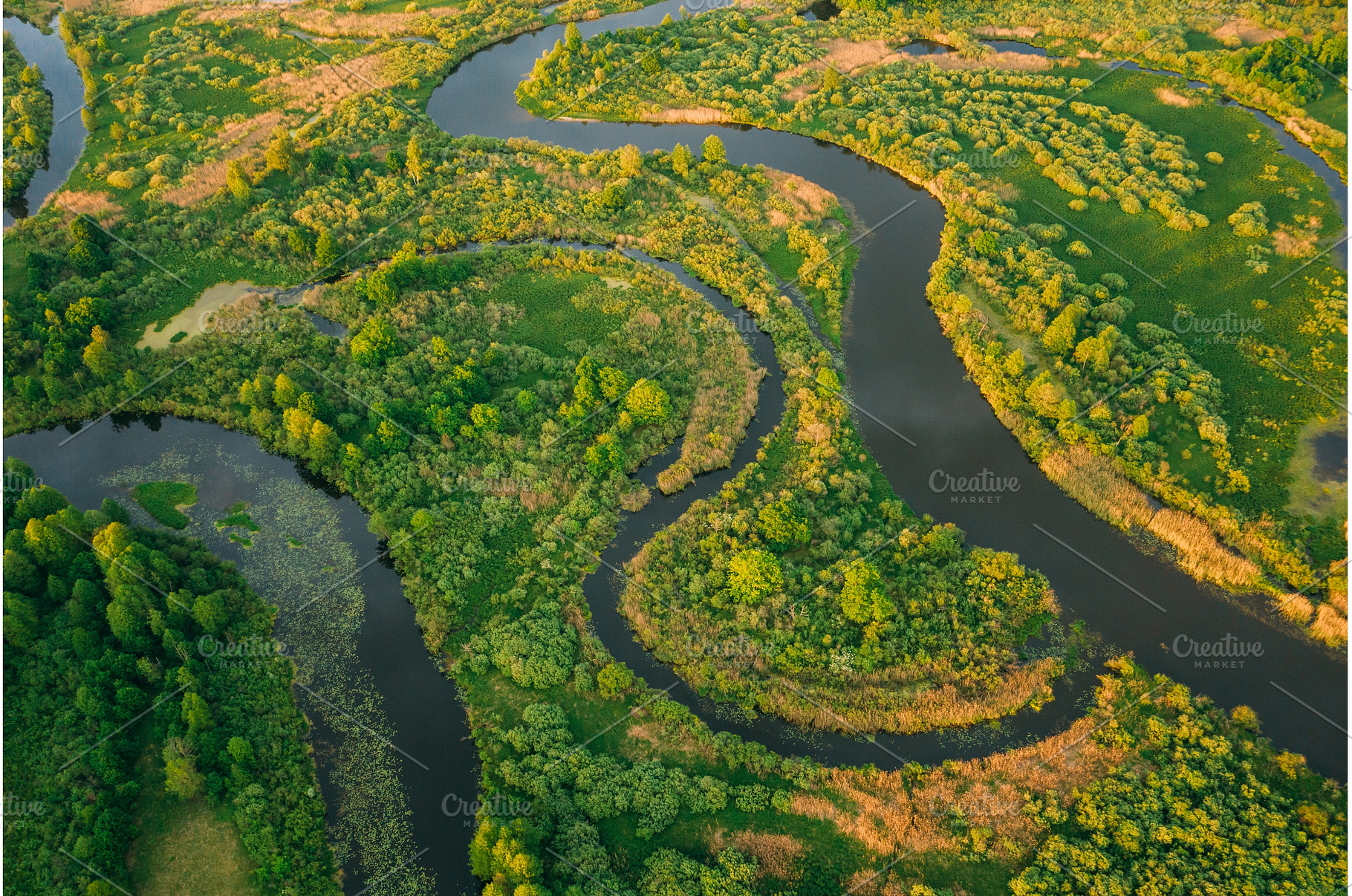Aerial View Green Forest Woods And, a Nature Photo by Our Amazing World