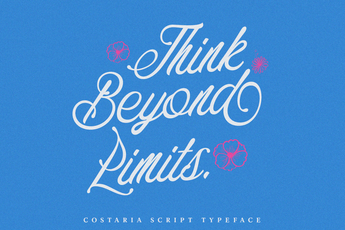 Costaria Script, a Script Font by Letter Fresh (Photo 7 of 11)