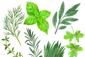 Vegetables, Herbs Watercolor Clipart