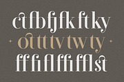 Modesca - Modern Luxury Serif Font, a Serif Font by Typia Nesia (Thumbnail 3 of 11)