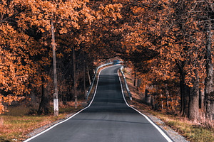 The Magic of Autumn #2, a Nature Photo by jakub_kopecky