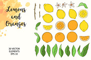 Lemons and Oranges, a Food Illustration by Imaginasty (Thumbnail 2 of 5)