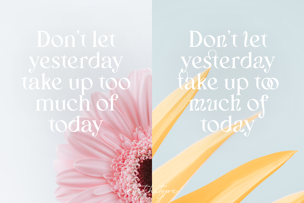Bunga Zivilia - Display Serif Font, a Serif Font by Artchitype Studio (Photo 7 of 12)