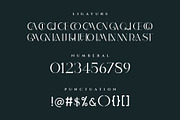 BLANNET Ligature Serif Typeface, a Serif Font by Humaira_std (Thumbnail 8 of 10)