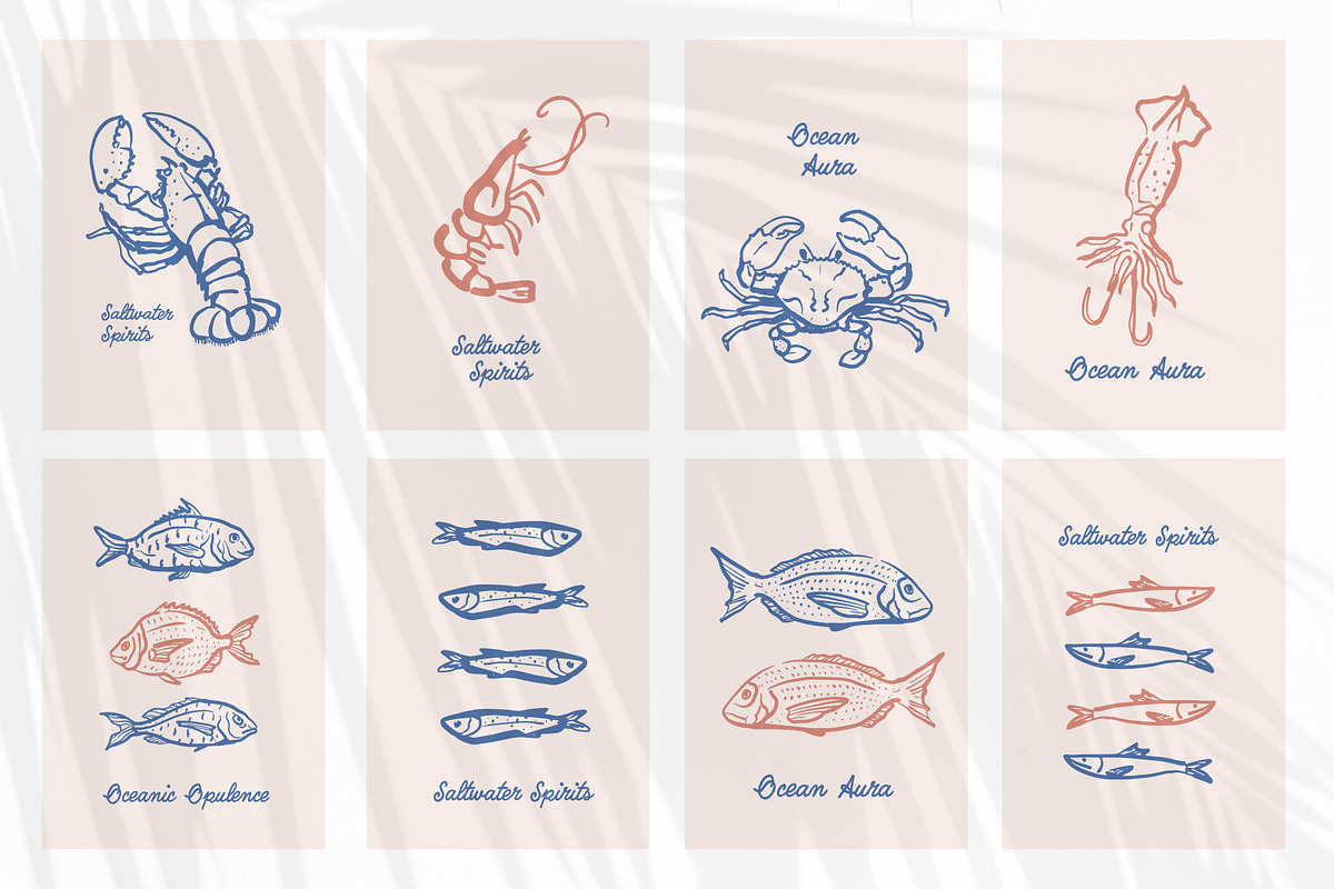 Sea Creatures Set, an Illustration by Checks & Dots (Photo 4 of 4)