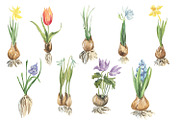 My garden. Watercolor set, an Illustration by Love Watercolor Store (Thumbnail 7 of 13)