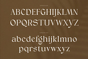 Ginger Bread, a Serif Font by ToniStudio (Thumbnail 6 of 10)
