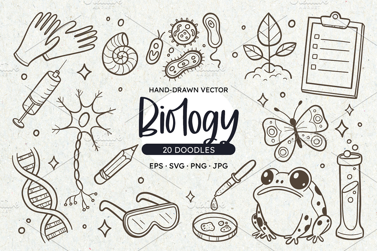 Science Doodles - Biology clipart, an Education Illustration by insemar (Photo 1 of 4)