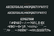 Hagofen Display Slab Serif, a Slab Serif Font by Letterena Studios (Thumbnail 13 of 15)