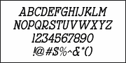 Nouveau Theme JNL, a Font by Jeff Levine Fonts (Thumbnail 5 of 5)
