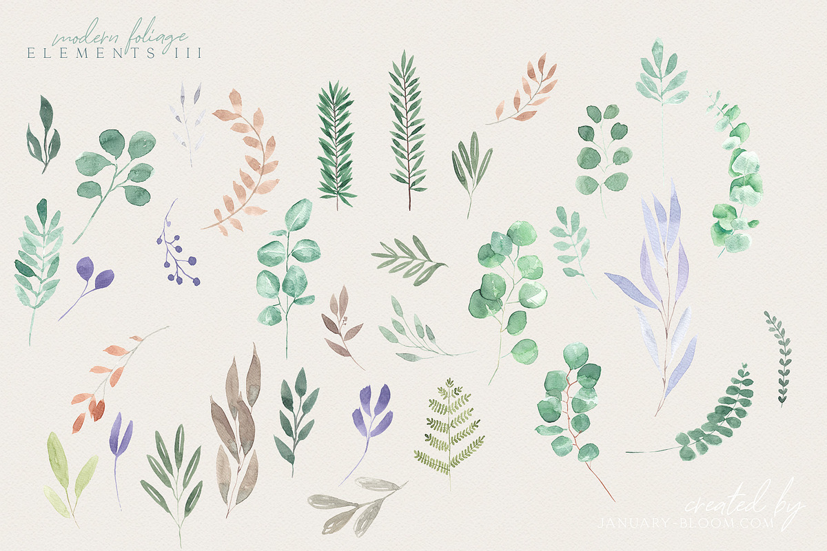 Handmade Foliage watercolour herbs, an Illustration by January Bloom (Photo 6 of 13)