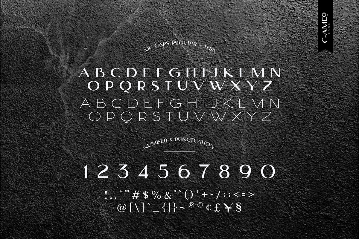 Cameo Sans Typeface, a Sans Serif Font by ikiiko (Photo 4 of 6)