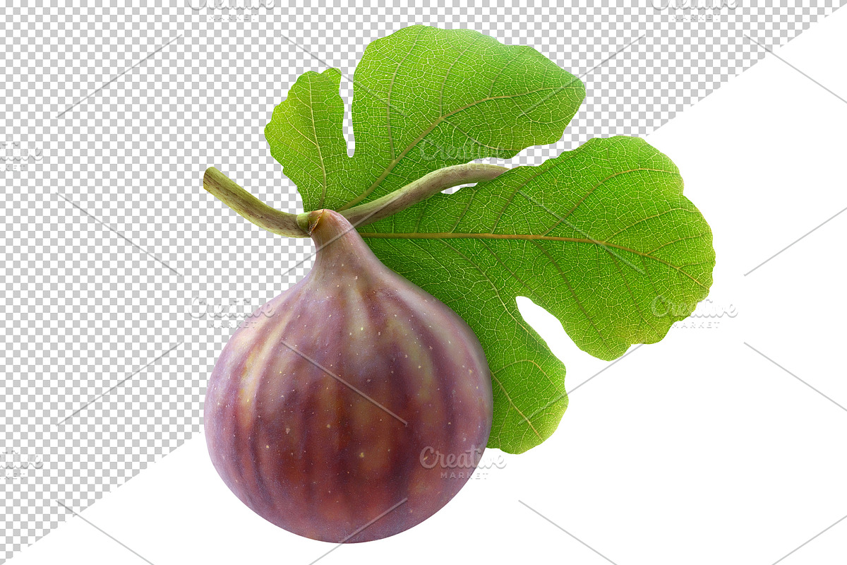 Fresh fig fruits with leaf preview 3