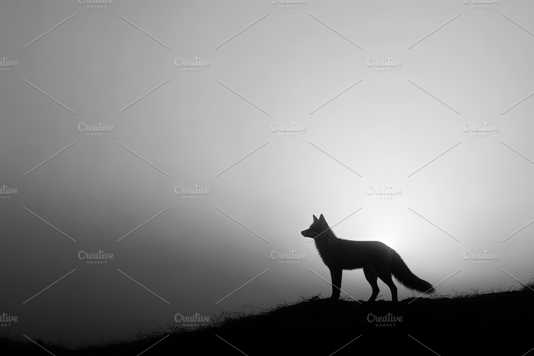 Majestic wolf silhouette stands on hilltop against dramatic suns, an Animal Photo by Ales Munt
