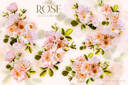 Summer Wild Rose Pink Florals, an Object Graphic by Eclectic Anthology (Thumbnail 4 of 10)