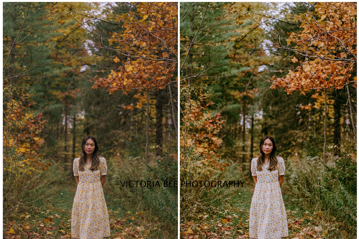 FALL LIGHTROOM PRESETS BRIGHT AUTUMN, a Preset Add-On by Victoria Bee Presets (Photo 2 of 9)