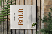 Contingent Font Duo, a Serif Font by Typehill (Thumbnail 7 of 7)