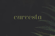 Curvesta – Display Font, a Serif Font by Colt Type Co (Thumbnail 4 of 7)