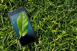 Smartphone on grass with a leaf .digital wellbeing, reconnecting, a Photo by salmon.black