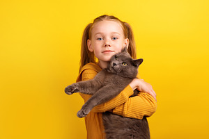 Young girl in a mustard sweater hugging a large gray cat while l, a Person Photo by Ales Munt
