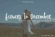Flowers In December Font Duo, a Script Font by Creamy Script (Thumbnail 1 of 4)