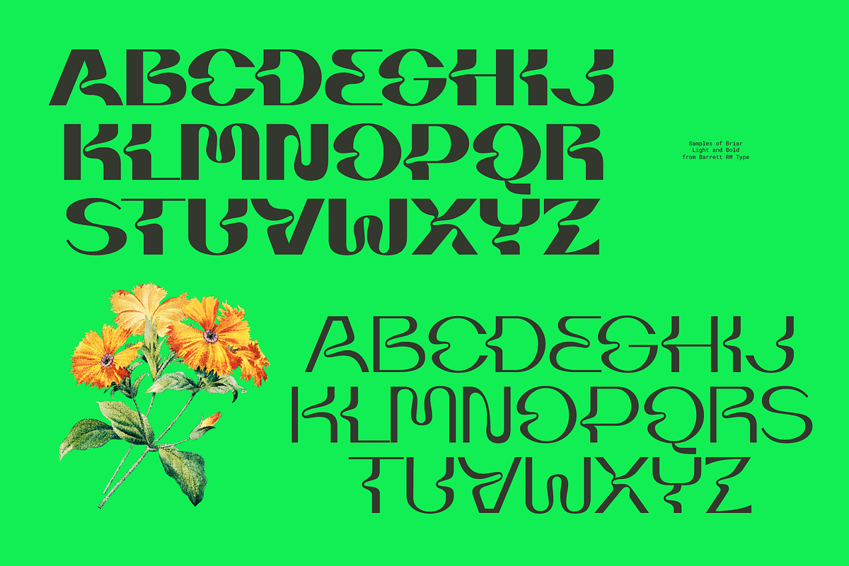 Briar - Fluid Variable Typeface, a Sans Serif Font by Barrett Reid-Maroney (Photo 4 of 10)
