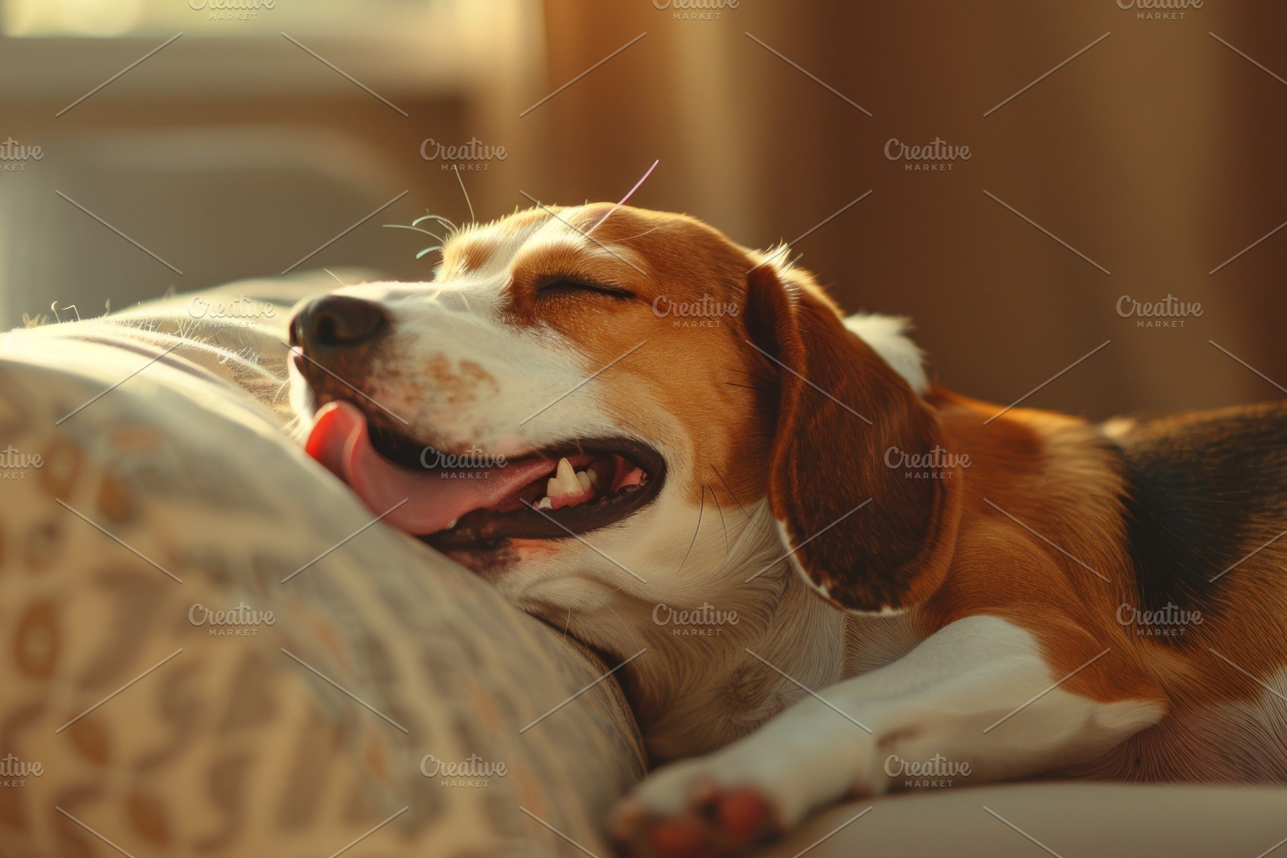 Cozy Beagle Enjoying a Relaxing Yawn on a Comfy Sofa - Generativ, an Animal Photo by José Manuel Gelpi