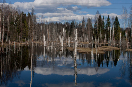 Creek Containing River Water And Creek preview 5