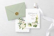 White peonies, a Decorative Illustration by Vasmila (Thumbnail 4 of 9)