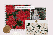 Poinsettia. Christmas Flower, an Object Illustration by ma_i_vi (Thumbnail 8 of 10)