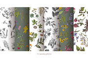 Hand drawn medicinal herbs, a Healthcare Illustration by handsketched (Thumbnail 13 of 14)