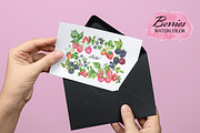 Wild Berry Watercolor Clipart, a Food Illustration by OlDm_Shop (Thumbnail 7 of 8)