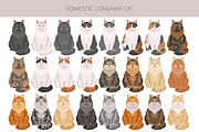 Domestic longhair cat, an Animal Illustration by pet design shop (Thumbnail 3 of 6)