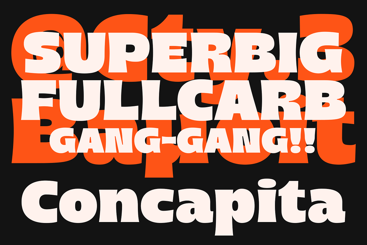 Concapita - Fat Display, a Sans Serif Font by LoneArmy (Photo 4 of 15)