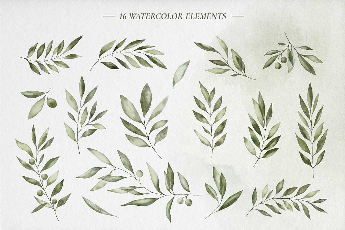 Olive branches, a Food Illustration by Onceli*art (Photo 2 of 10)
