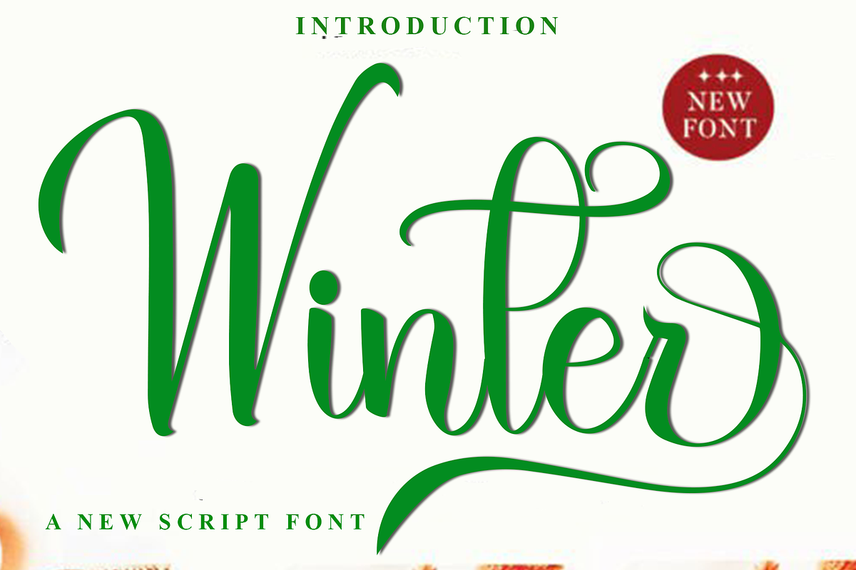 Winter, a Handwritten Font by InermediaSTUDIO (Photo 1 of 8)